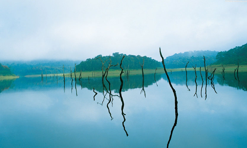thekkady